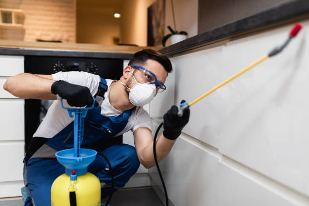 Best Termite Control Services  in Willards, MD