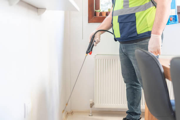 Best Pest Removal Services  in Willards, MD