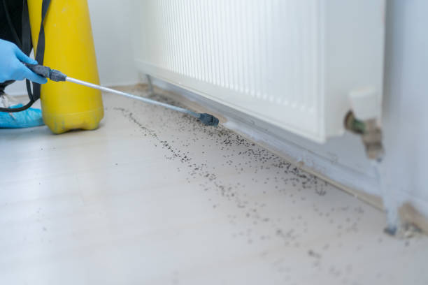 Pest Control for Restaurants in Willards, MD